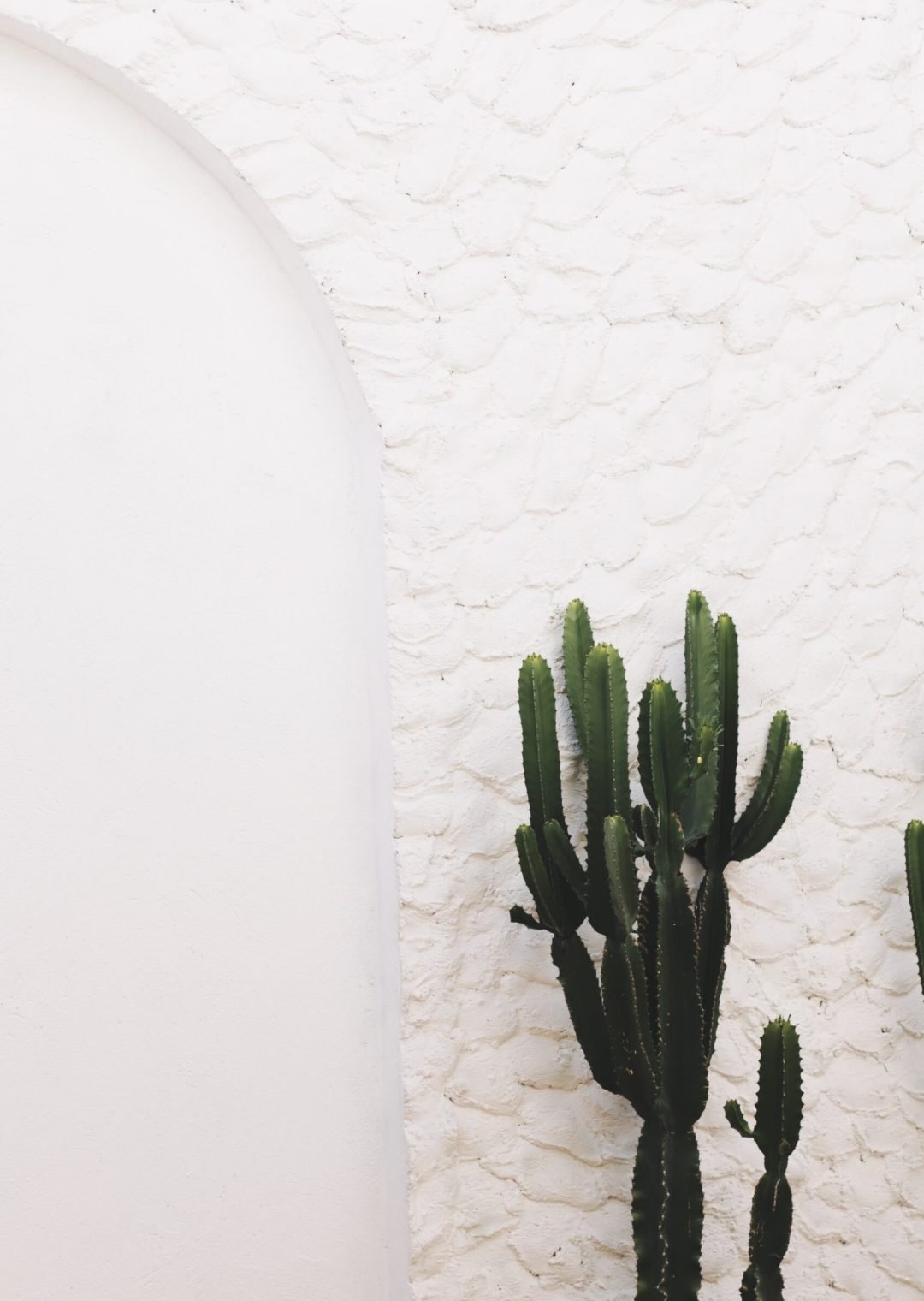 Processed with VSCO with a8 preset