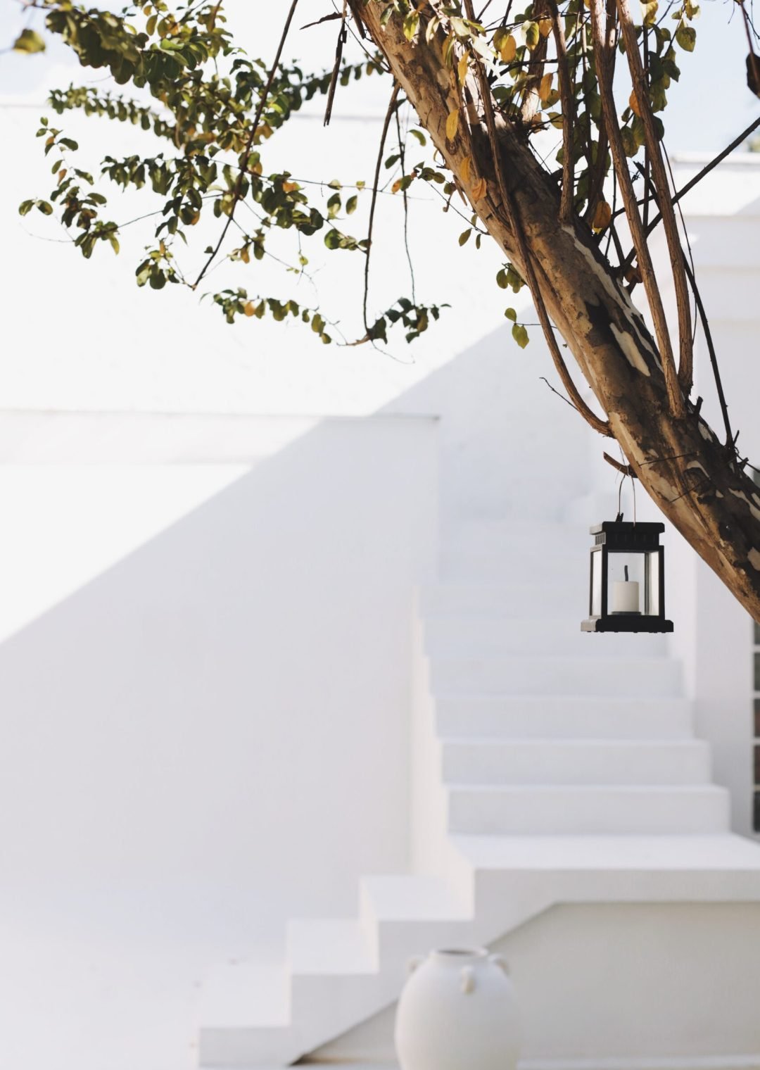 Processed with VSCO with a8 preset