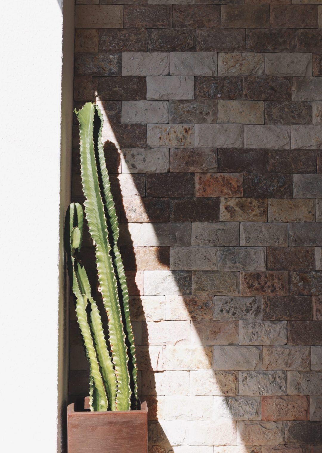 Processed with VSCO with a8 preset